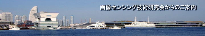 SSII概要